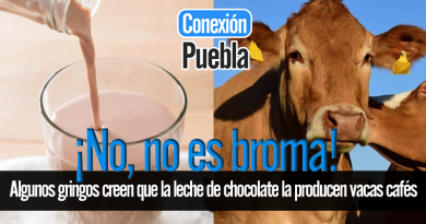 ¡No, no es broma!: Algunos gringos creen que la leche de chocolate la producen vacas cafés