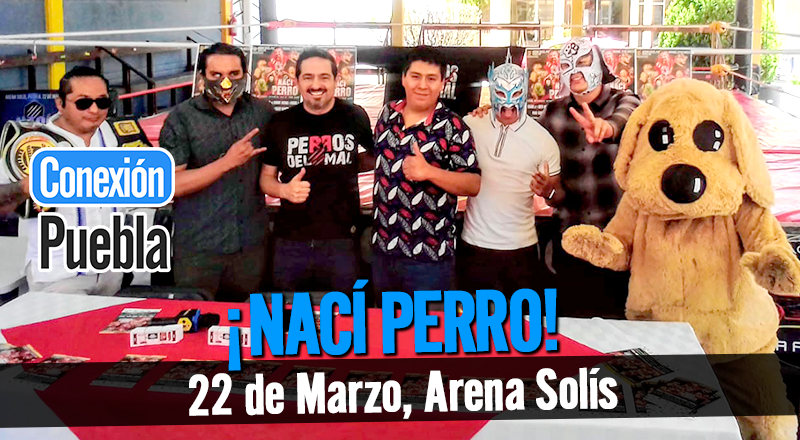 Brindarán en puebla, homenaje al Hijo del Perro Aguayo